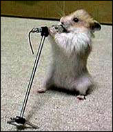 Singing Hamster Avatar
