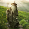 The Hobbit Gandalf Avatar