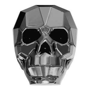Silver Skull - Copy